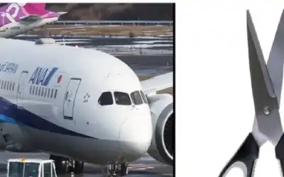 اليابان: تعطل مئات الرحلات الجوية بسبب