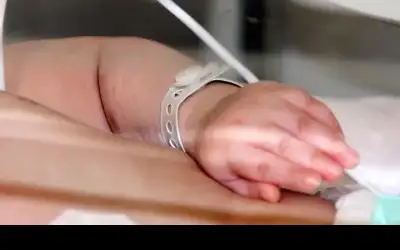 انخفاض معدل الإنجاب في الأردن
