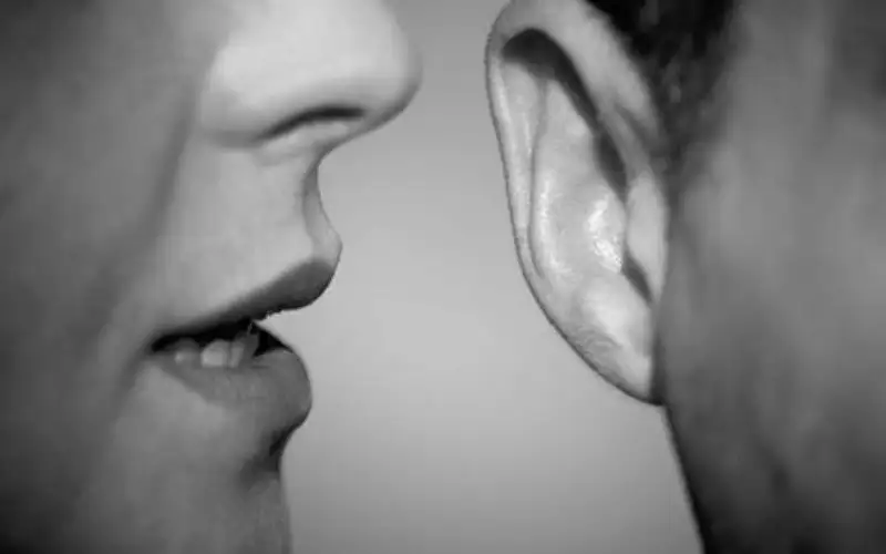 نميمة فتاة وراء جريمة دوار المدينة