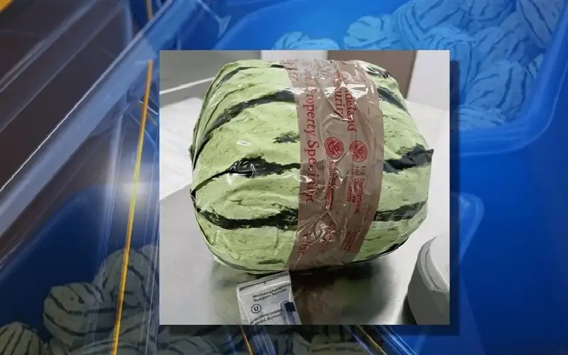 أمريكا.. مصادرة ميثامفيتامين بـ 5 ملايين