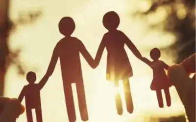 مكاتب الإصلاح تعيد الحياة الطبيعية لـ9