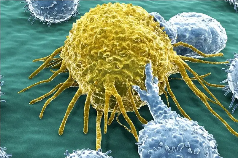كيف تتهرب الأورام السرطانية من مناعة