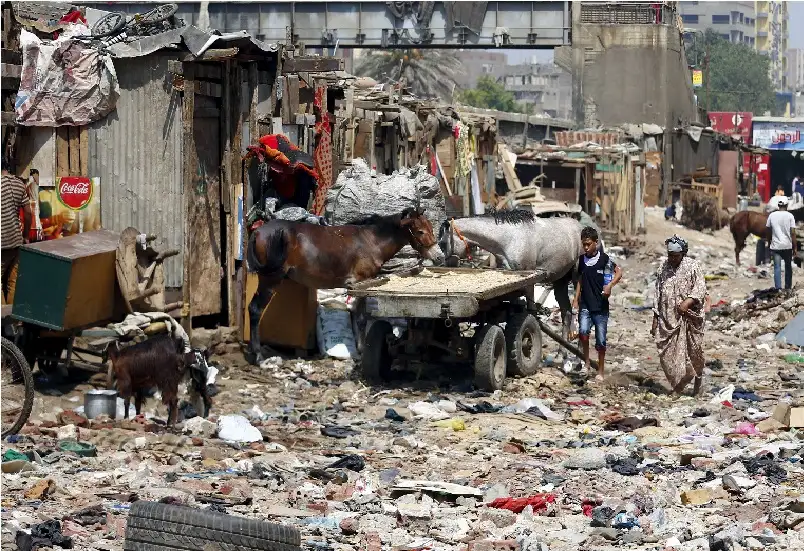 لا يوجد في مصر ما يشكو