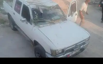 سقوط شجرة كبيرة على عدد من