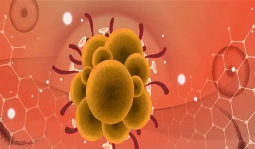 الفلبين تسجل 5 إصابات نشطة بجدري