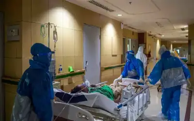 الصحة العالمية توضح طرق العدوى بجدري