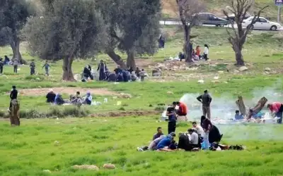 طقس نهاية الأسبوع .. مناسب للرحلات
