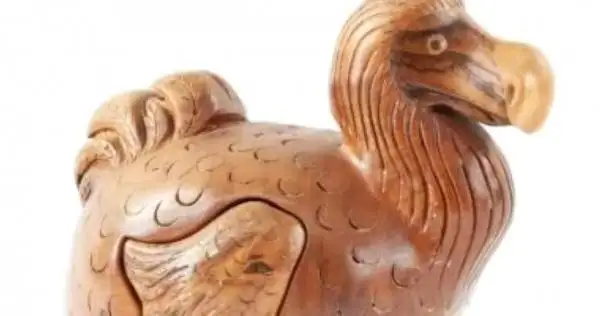 عظام طائر الدودو للبيع بـ 33