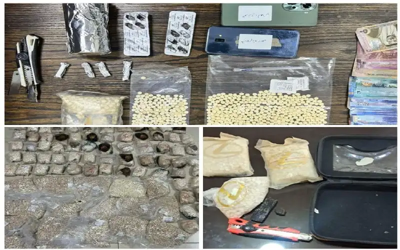 احباط تهريب مخدرات داخل أحجار وزيتون