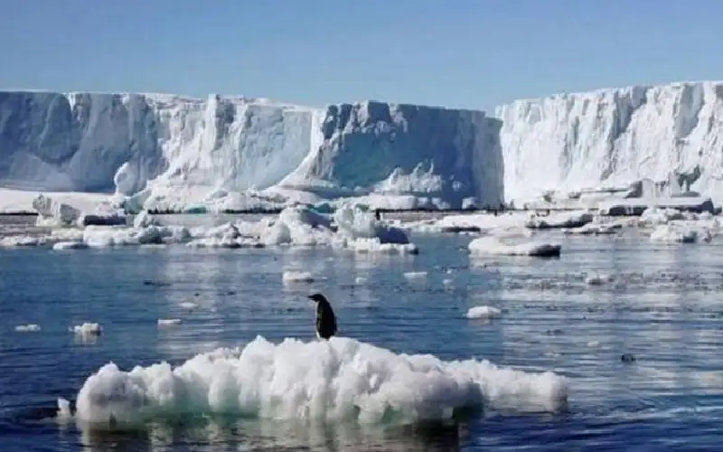 مخاوف من انتشار جائحة مميتة.. اكتشاف