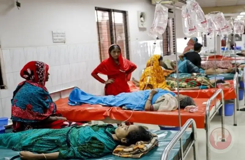 السودان: ارتفاع حصيلة ضحايا الكوليرا إلى