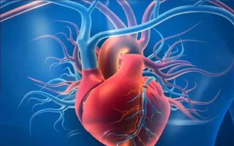 عقار للكلى يعالج قصور القلب