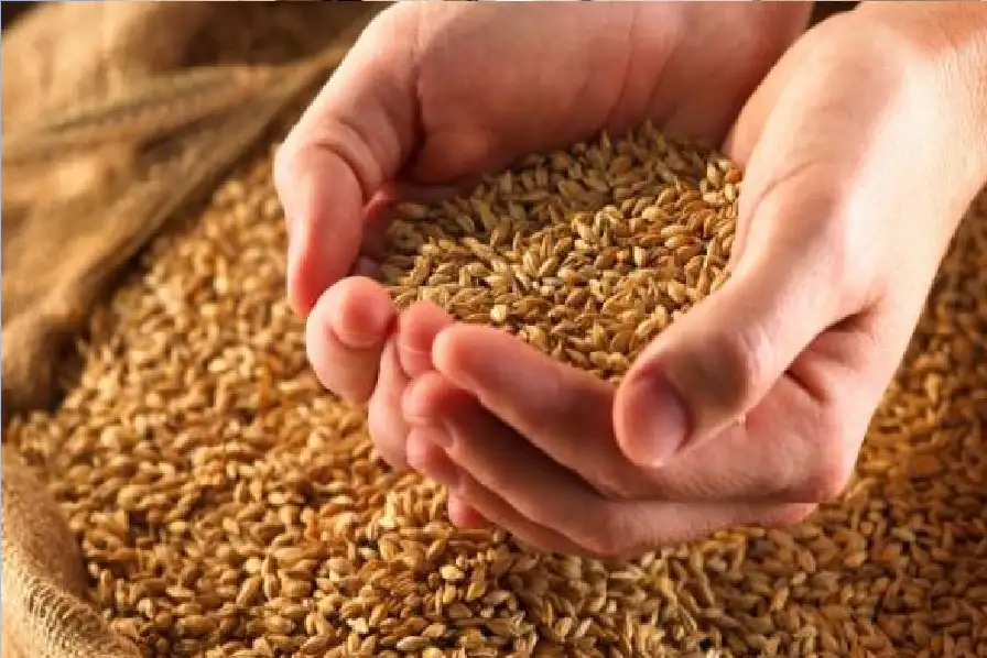 رفع سعر طن دقيق القمح الموحد