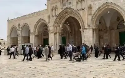 مئات المستوطنين يقتحمون المسجد الأقصى