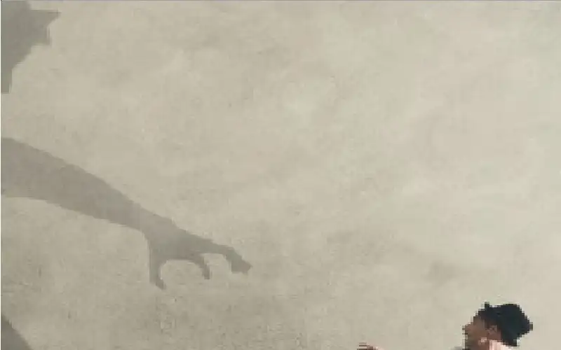 عندما يتهرب البالغون من مسؤوليات الحياة