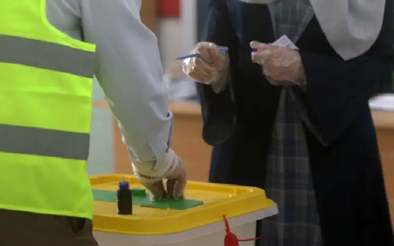 بعثة الاتحاد الأوروبي لمراقبة الانتخابات النيابية