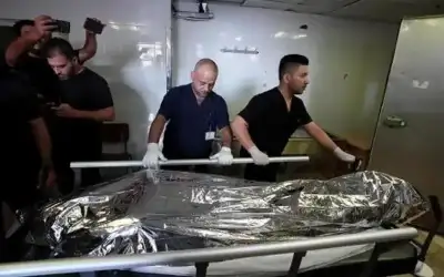واشنطن: نتحقق من ملابسات مقتل الأمريكية