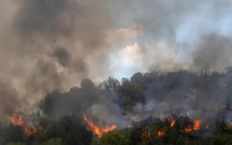 مرصد المناخ الأوروبي: صيف 2024 الأكثر