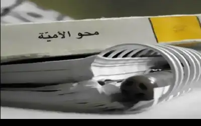 الإحصاءات: نسبة الأمية بين فئة الشباب