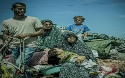 337 يوما للحرب على فلسطين