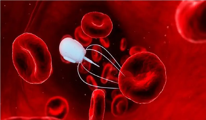 ابتكار روبوتات نانوية لتوصيل أدوية تخثر