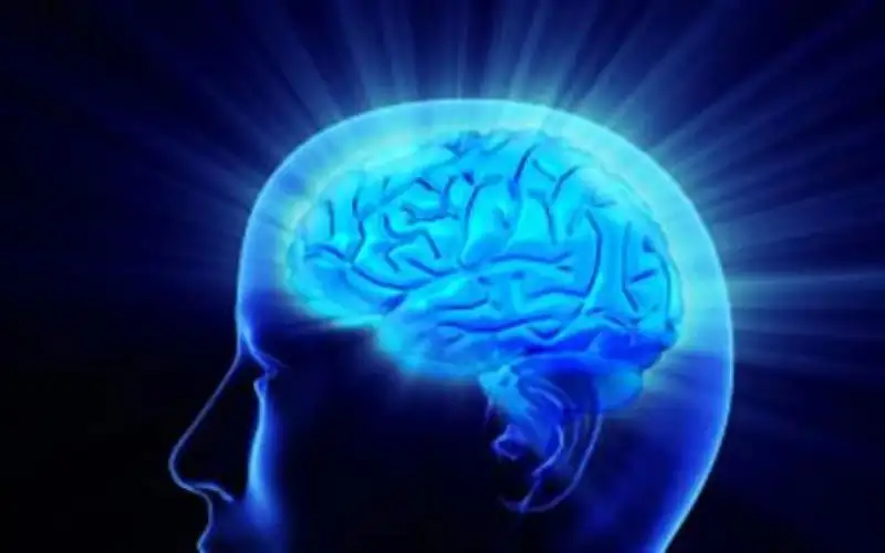 كيف تبدو أمخاخ من يعانون مرض