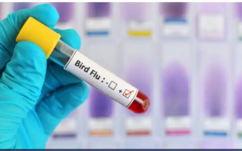 تسجيل أول إصابة بانفلونزا الطيور من