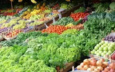 4559 طن خضار وفواكه ترد للسوق