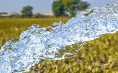 البنك الدولي: تقدم مرض نحو البدء
