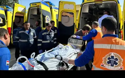 التضامن الدولية: إسرائيل تستهدف النشطاء لعزل