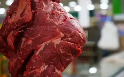 “الأمانة” تتلف 766 كغم من اللحوم