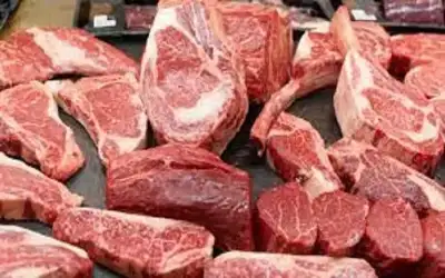 الامانة: إتلاف 766 كغم من اللحوم