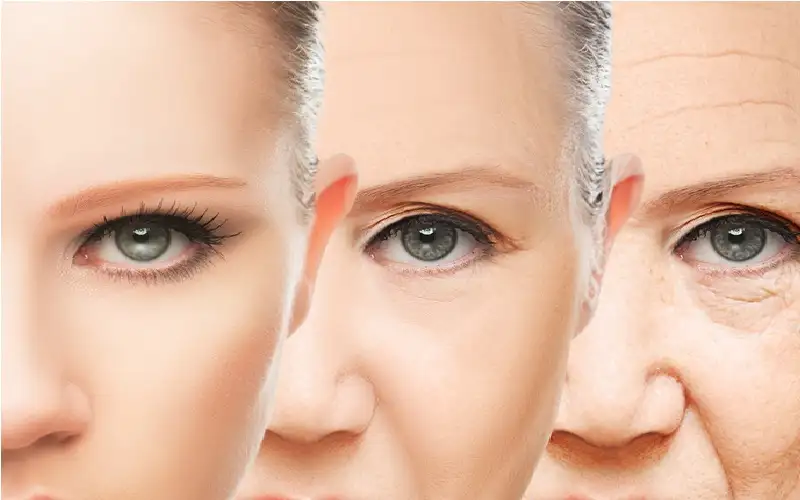 كل ما تريد معرفته عن رهاب