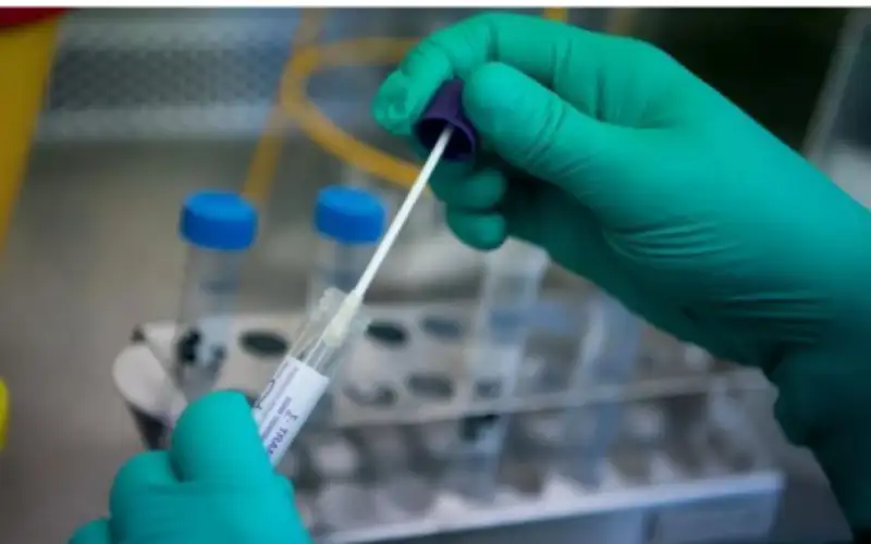 دراسة تفجر مفاجأة تتعلق بمرضى كورونا