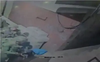 بينهم فتاة.. الاحتلال يعتقل 3 مواطنين