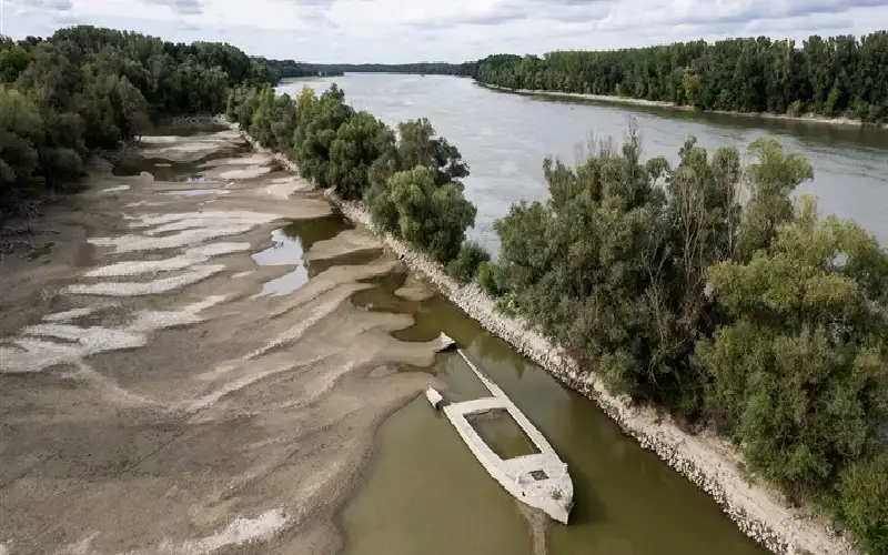 سفن من الحرب العالمية الثانية تطفو