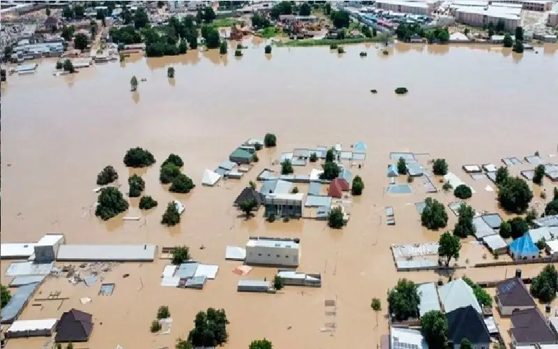 الفيضانات تجرف حيوانات مفترسة إلى شوارع