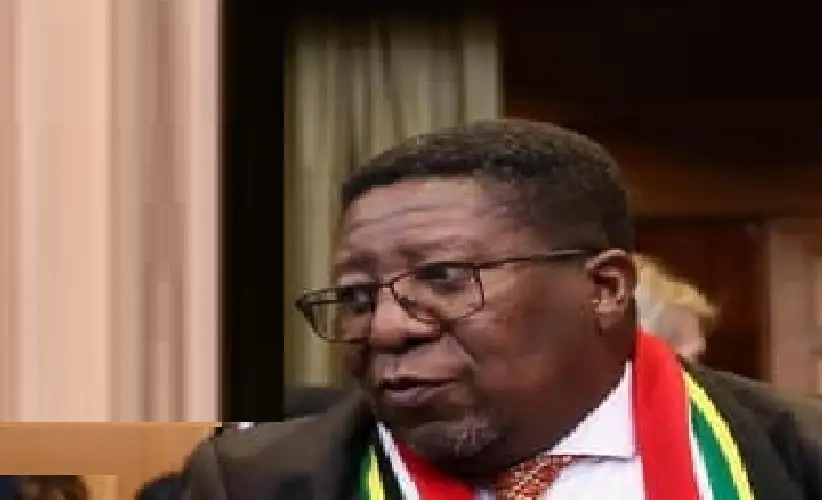 جنوب افريقيا تعد مجلدا من مئات