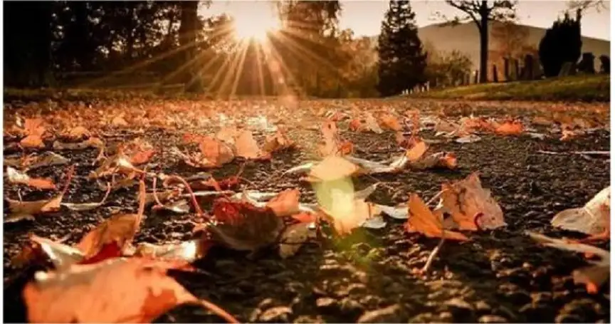 دء تأثير كتلة رطبة واحتمال هطول