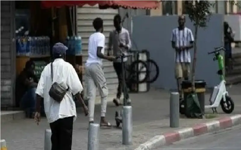 من بقي لم يقاتل فلسطين؟ هآرتس: