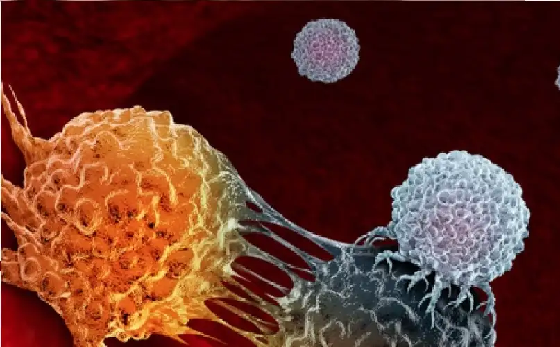 أمل جديد .. عقار فايزر ساعد