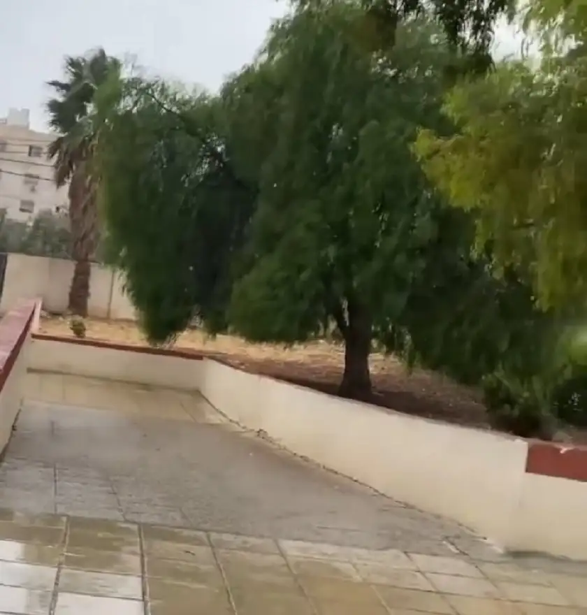 أمطار الخير تهطل في عمان وإربد