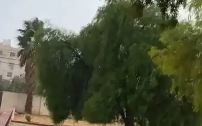 أمطار الخير تهطل في عمان وإربد