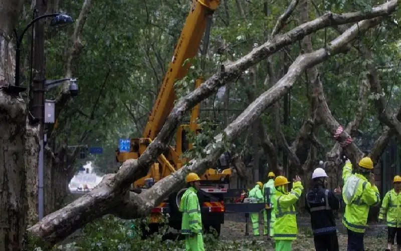 الصين.. سقوط خط كهرباء يودي بحياة