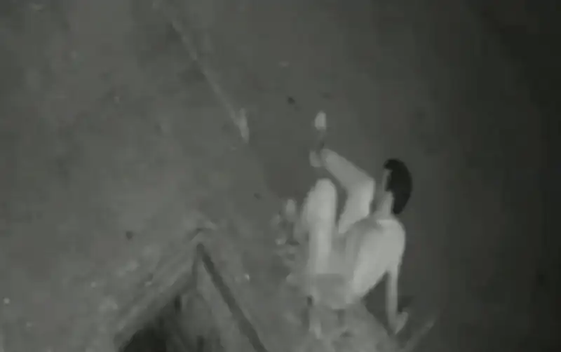 متداول.. شاهد.. ينجو من الموت بعد