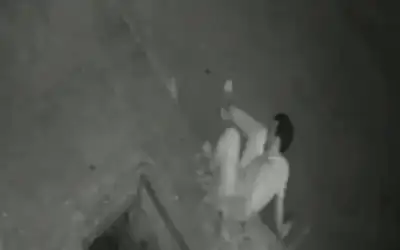 متداول.. شاهد.. ينجو من الموت بعد