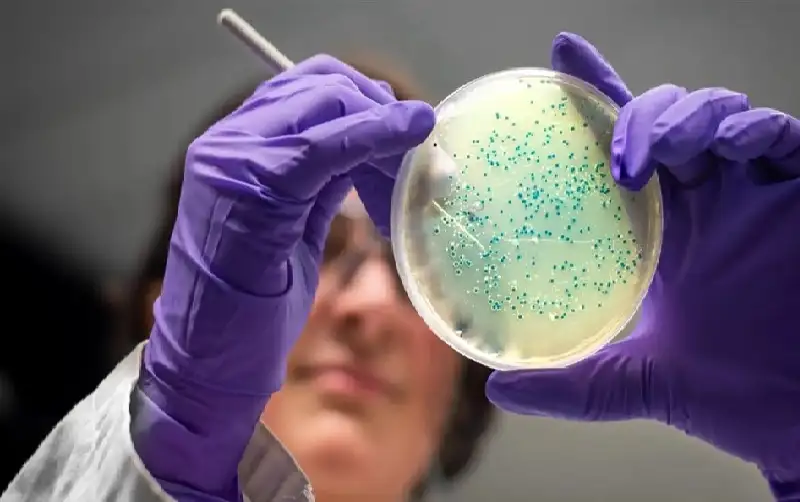 البكتيريا المقاومة للأدوية قد تقتل 39