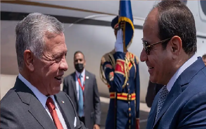 الملك والرئيس المصري يحذران من خطورة