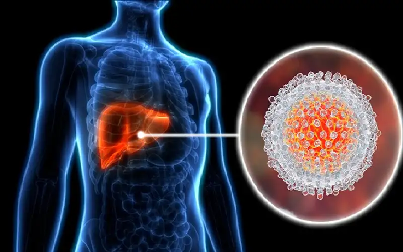 علماء يقتربون خطوة من لقاح لفيروس