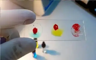 بعد غموض دام 50 عاما.. علماء